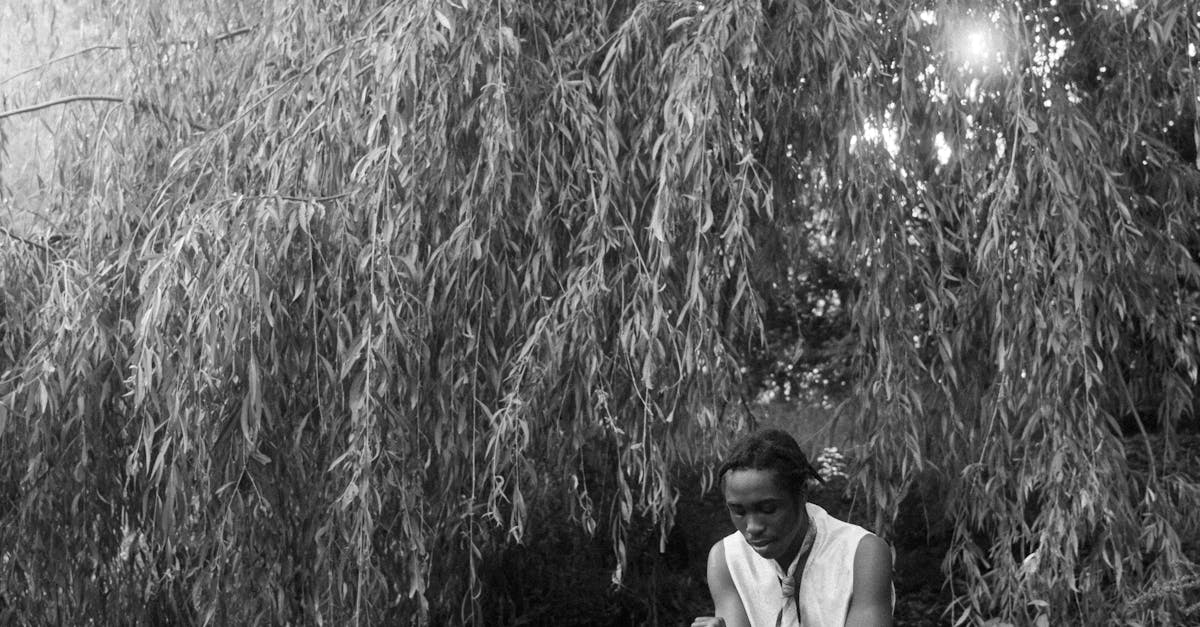 Does wellness really work?