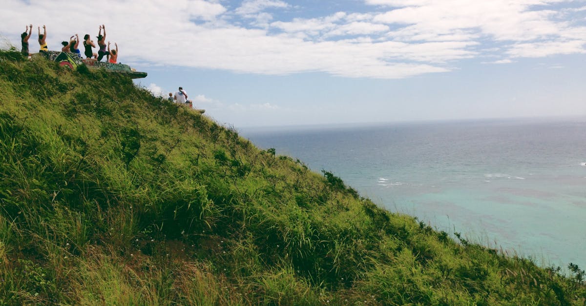 How to check your whole body health?