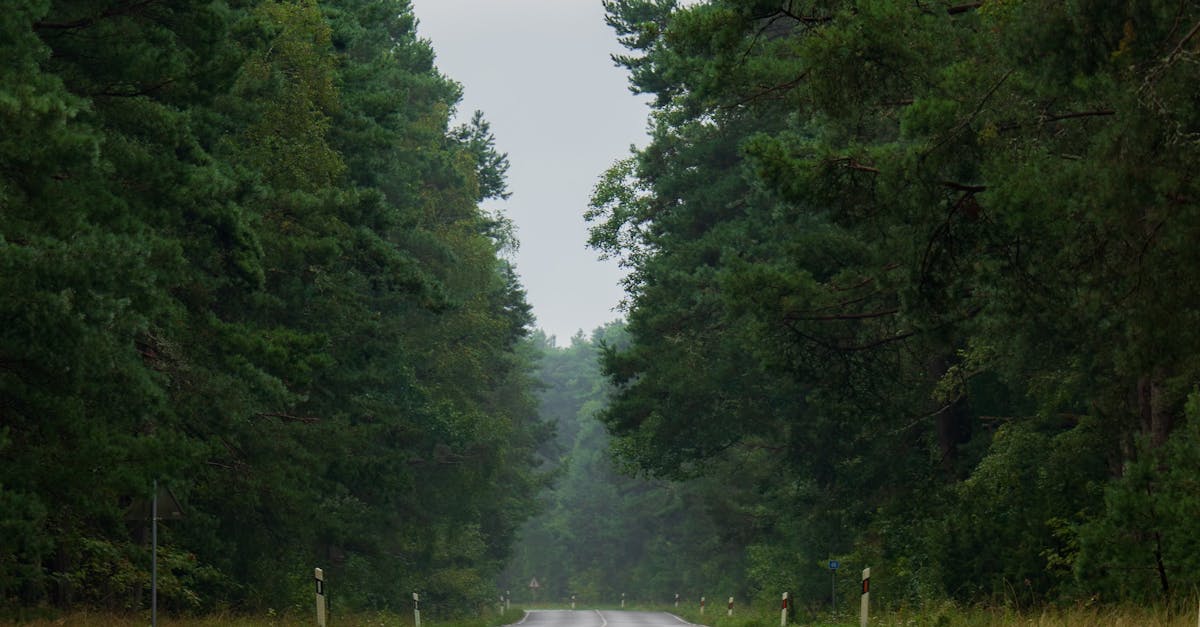 Is massage good for sciatica?