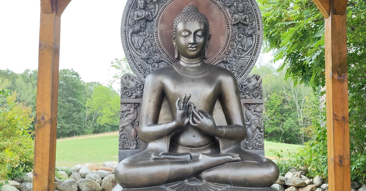 What are the three components for over all wellness?