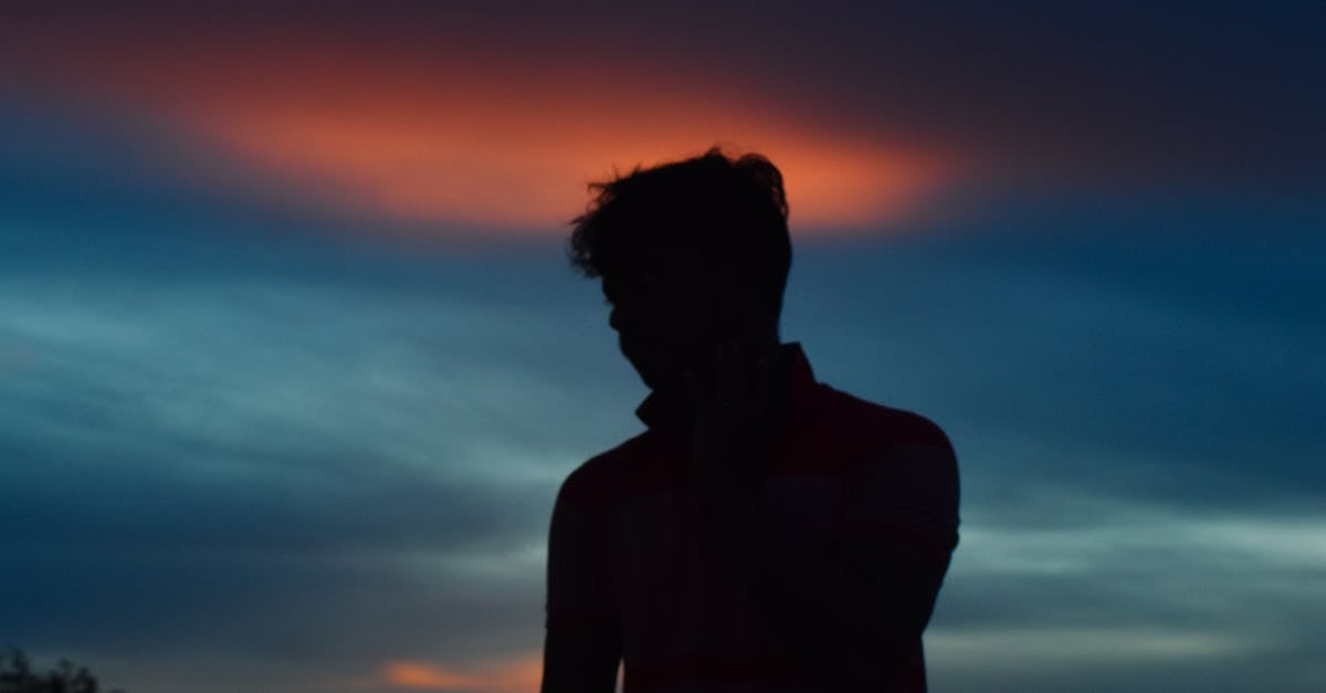 What is the meaning of whole wellness?