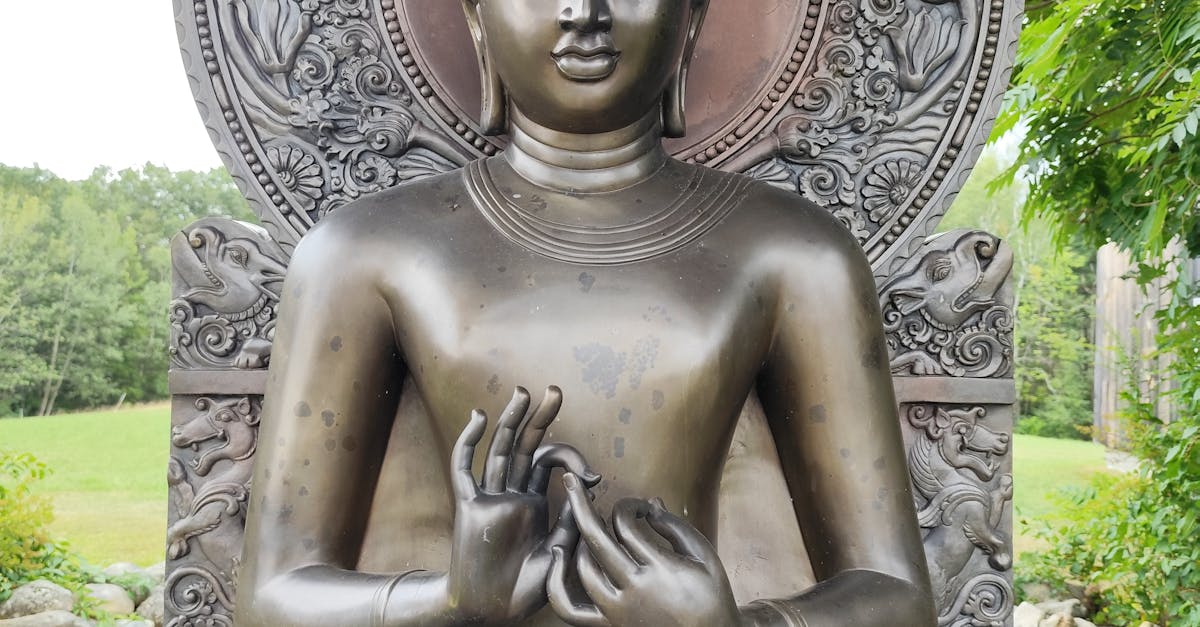 What is wellness in one word?